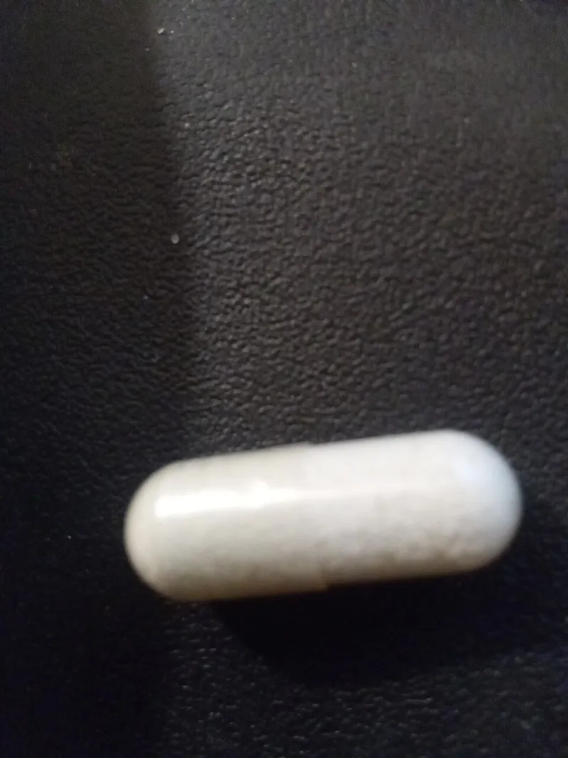 More Gut Health Products, Worse Results? The Probiotic-Fiber Timing Problem Nobody Talks About